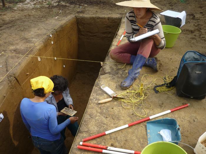 Archaeologists recording excavated section of pre-Hispanic canal-ridge formation