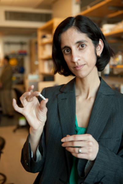 Tejal Desai, Ph.D., University of California - San Francisco