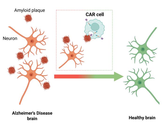 CAR therapies for neurodegeneration: a big challenge with increasingly plausible solutions