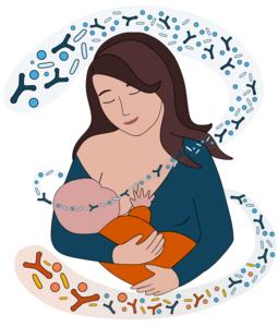 Illustration of breastfeeding and microbes