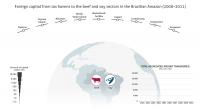 Foreign Capital from Tax Havens to Beef and Soy Companies in Amazon Rainforest