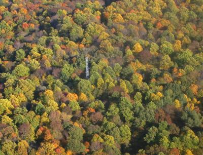 Morgan-Monroe State Forest