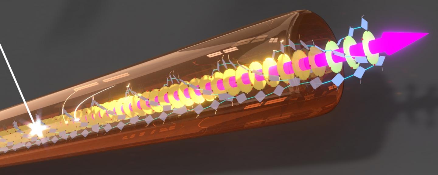 Supramolecular Nanofiber