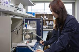 [Photo 4] KIER researchers evaluate the water electrolysis performance of the newly developed catalyst