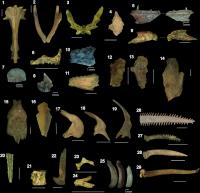 Ancient Fish Ponds in the Bolivian Savannah Supported Human Settlement