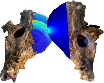Dome-skulled Dinos Went Head-to-head