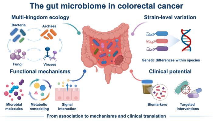 Key Topics Covered in the Review on the Gut Microbiome in Colorectal Cancer