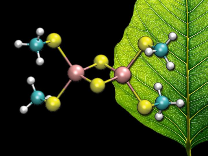 Iron-Sulfur Cluster