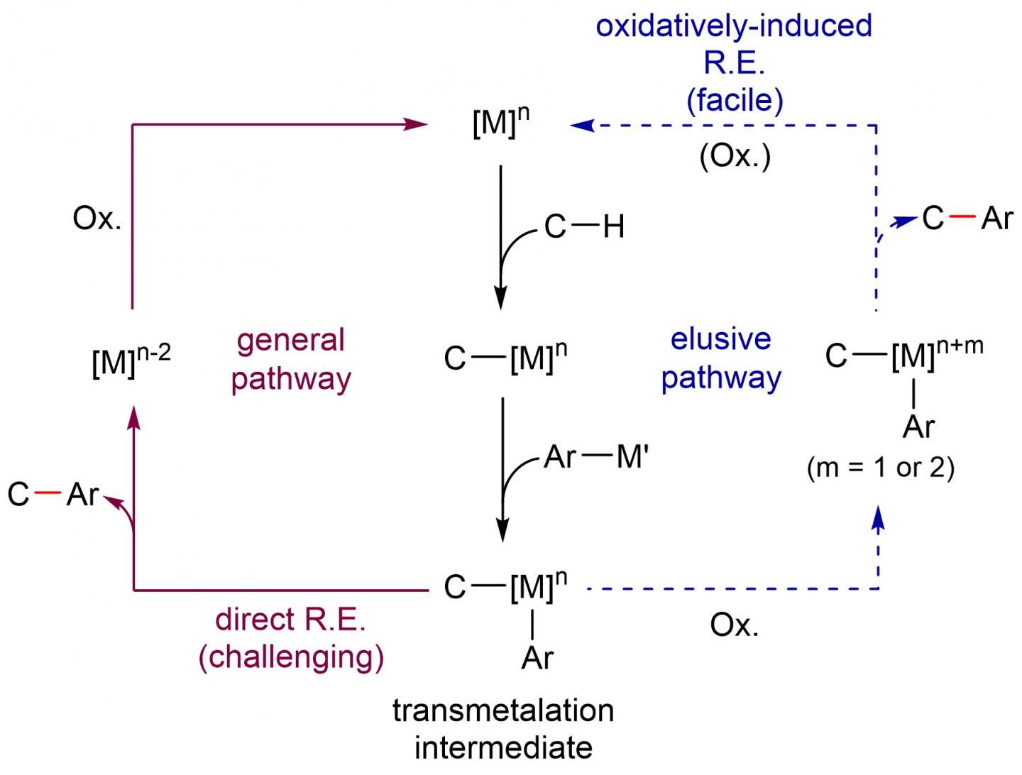 Reaction Pathway