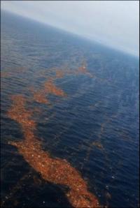 Tsunami Debris