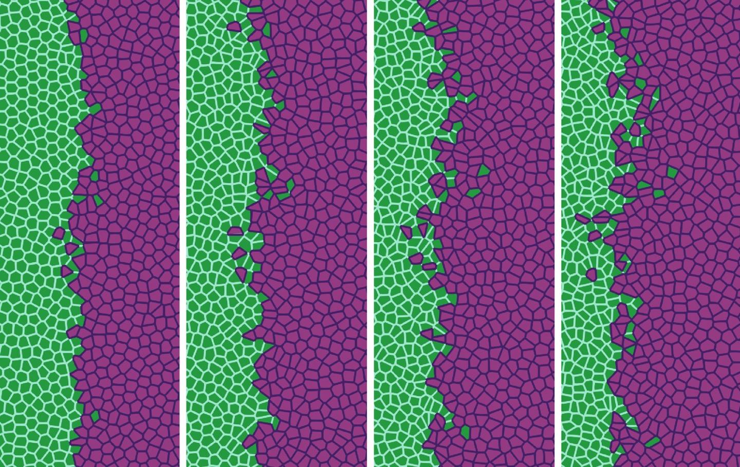 ç¨æ°å­¦æ¹å¼æè¿°çç»èè½¬ç§»