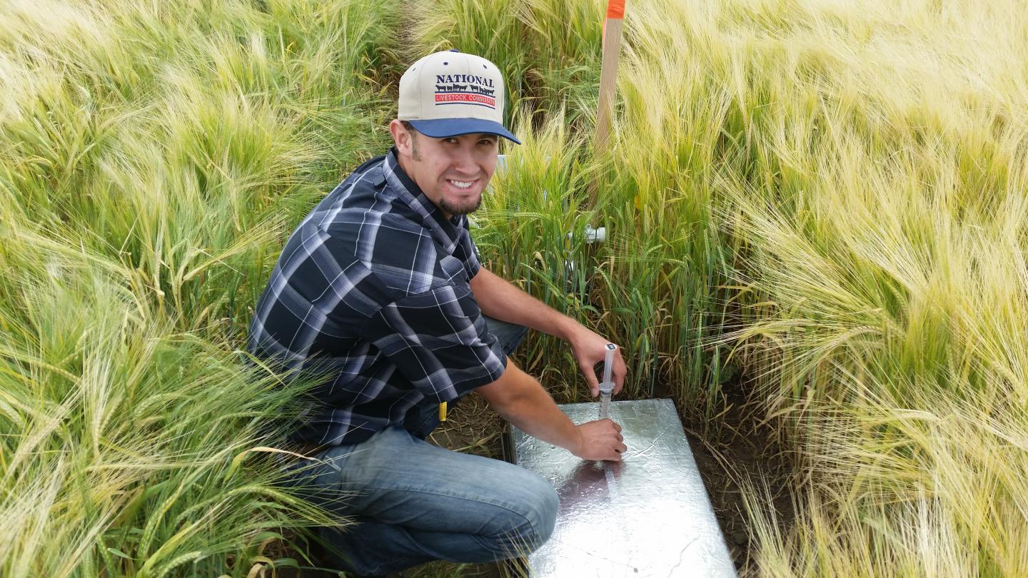 Gas Sampling