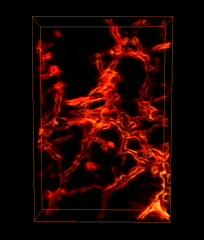 For Crystals, a Strictly Physical Formation (3 of 4)