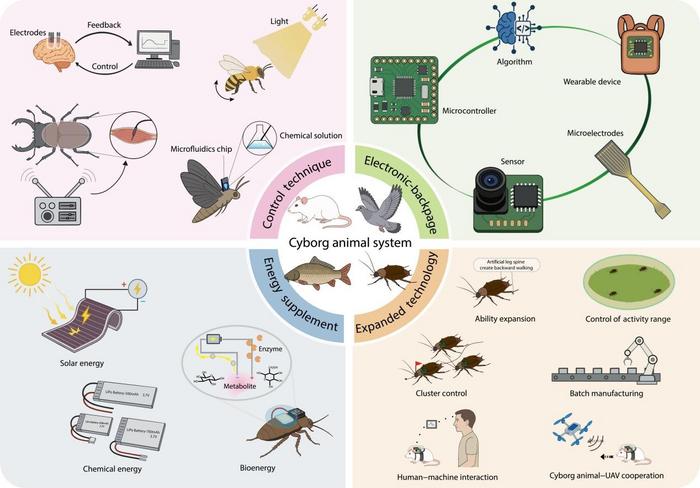 Overview of the cyborg animal system.