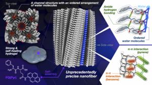 New self-healing hydrogel with electrical polarization