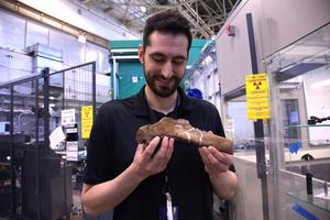 T. rex rib bone