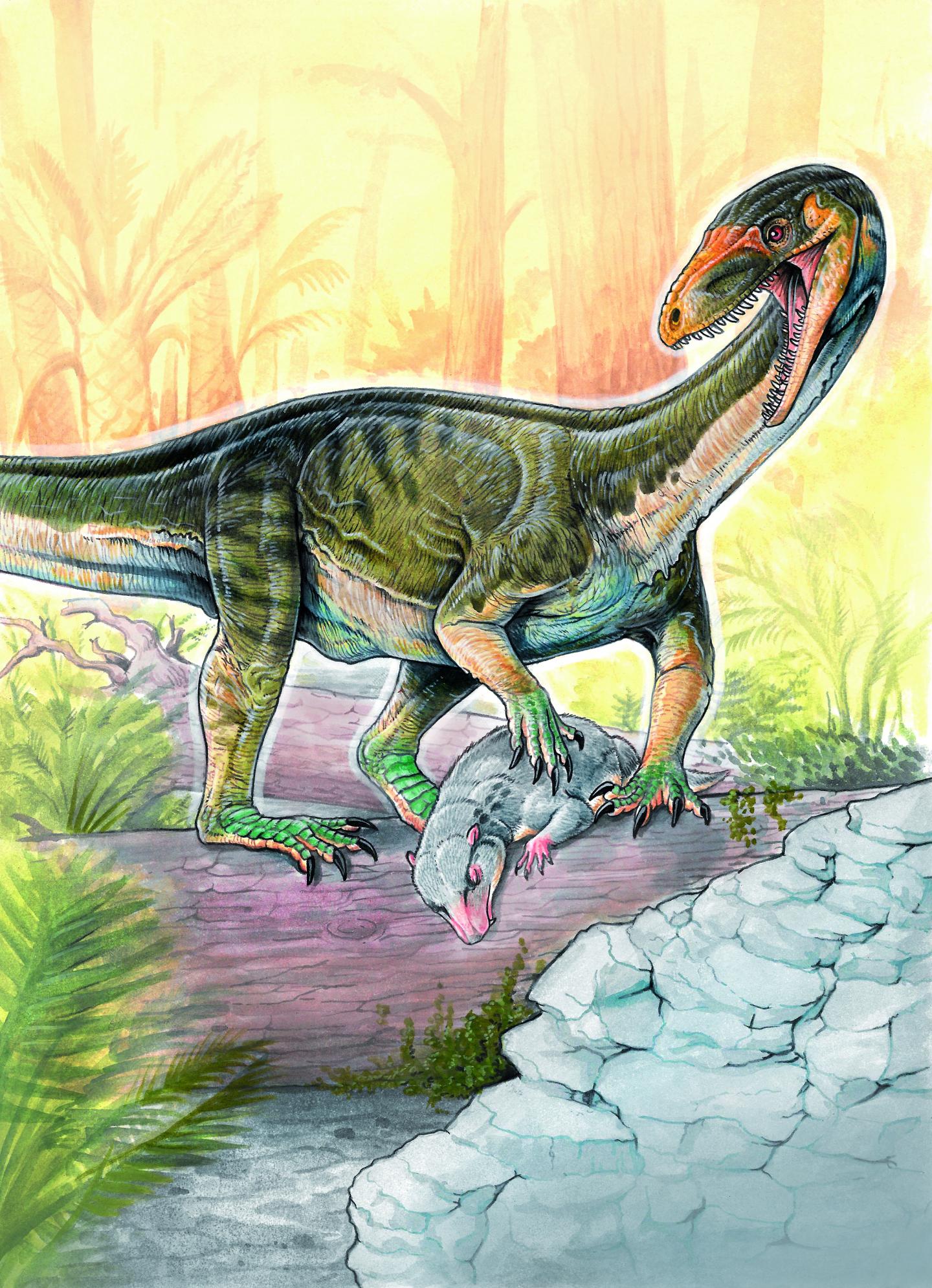 Teleocrater Illustration