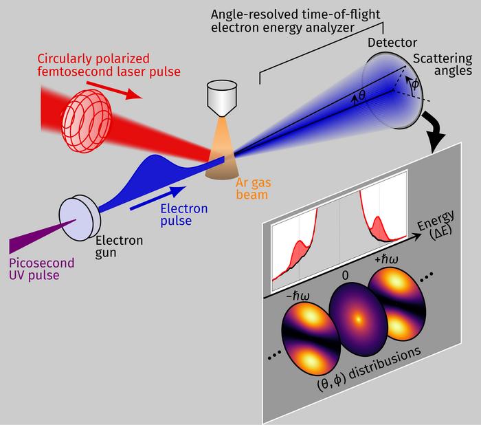 LAES measurement using circularly polarized light.