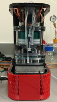 Hybridizer in Action