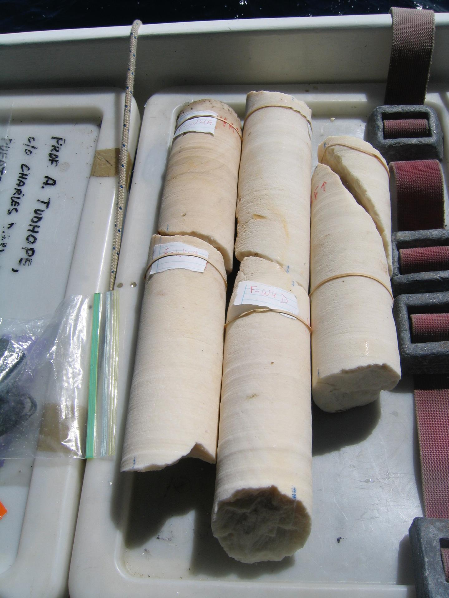Coral Cores