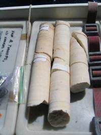 Coral Cores