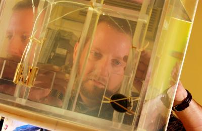 Reflected in Test Chamber