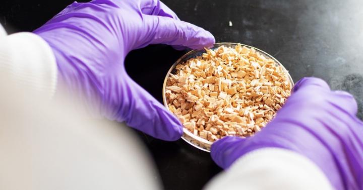 Renewable Lubricants from Non-Food Biomass