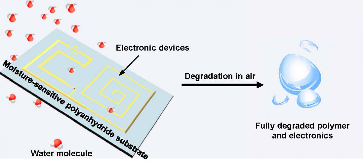 Disappearing Act: Moisture Triggers Degradation of Transient Electronics (3 of 3)