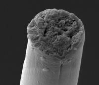 Biosynthetic Silk