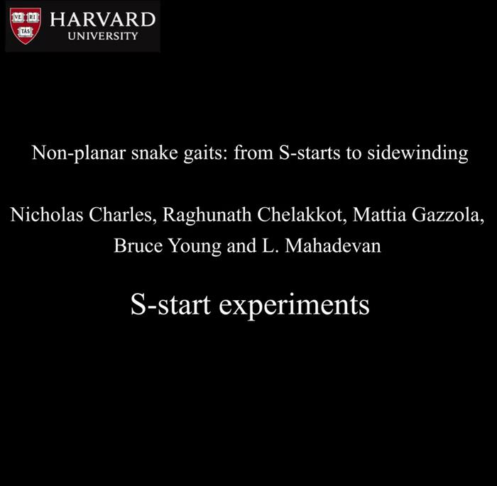 non-planar snake gaits
