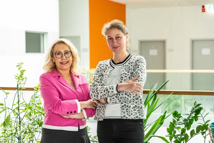 Authors from Wroclaw Medical University