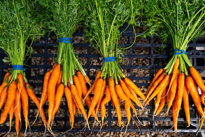 Two Tufts-related initiatives have been included in the White House’s new round of public and private sector commitments to end hunger, improve nutrition, and reduce diet-related disease in the U.S. by 2030