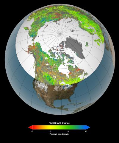 Increases in Northern Plant Growth