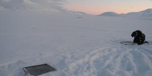 A cold winter