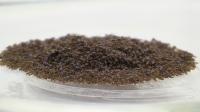 Ant Raft