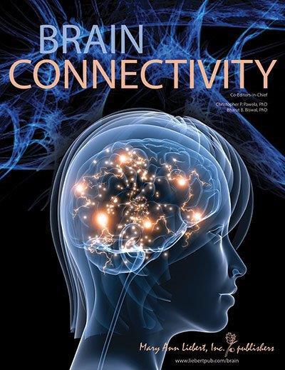Brain Connectivity