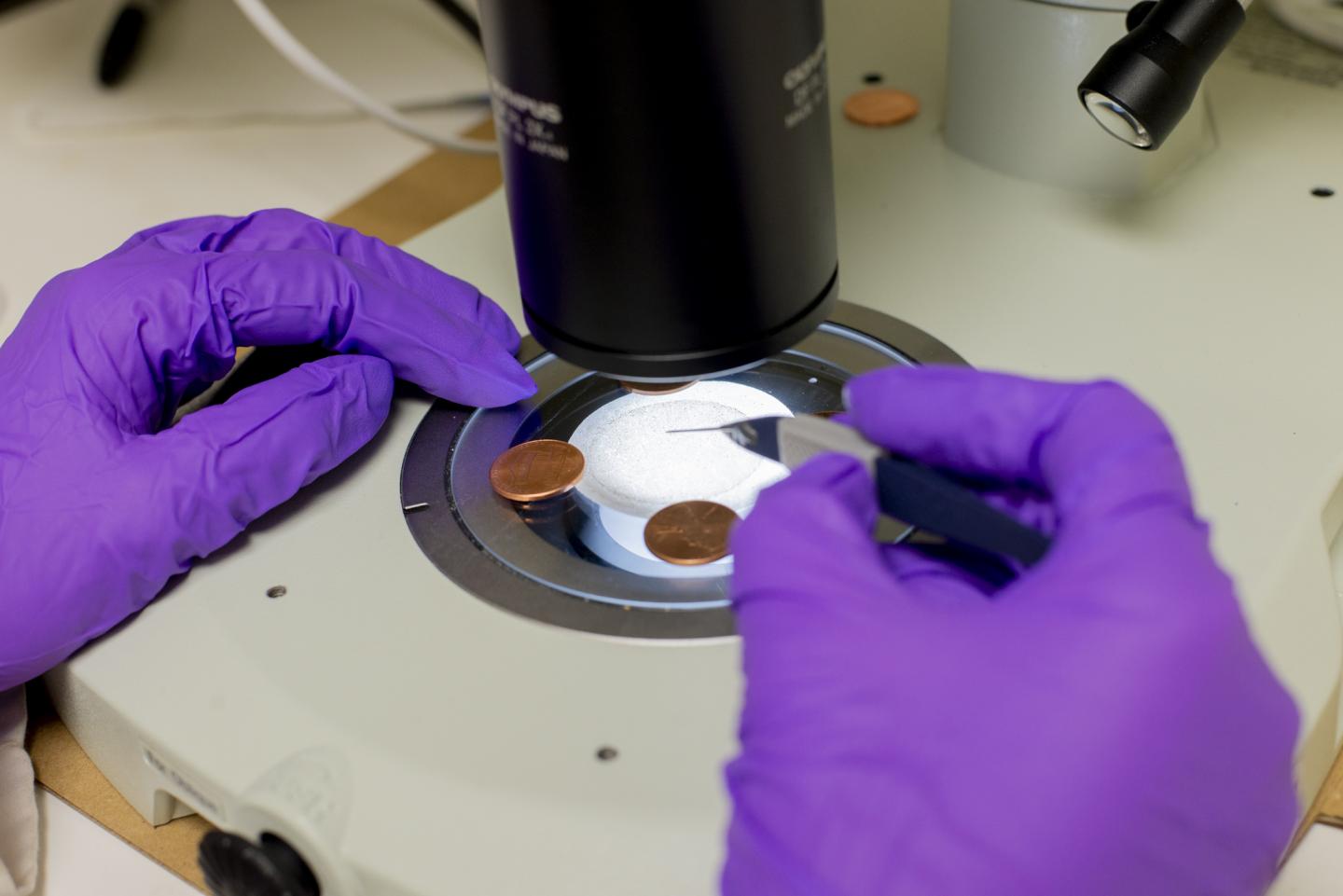 Microplastics Sample under a Microscope