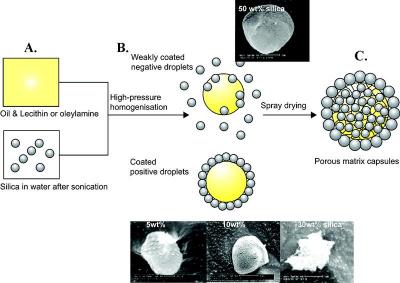 Microcapsules