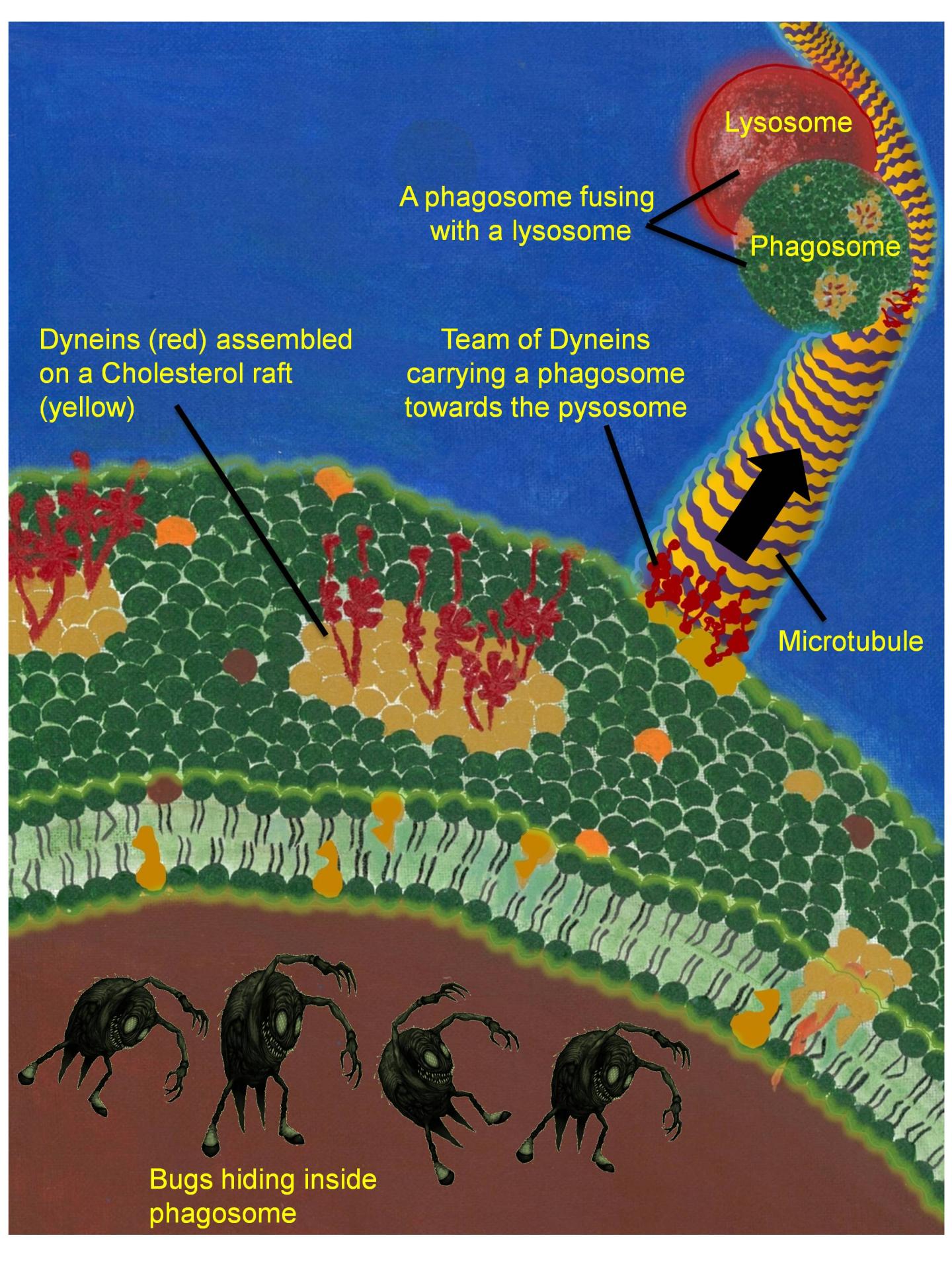 Bugs On Their Way to Death