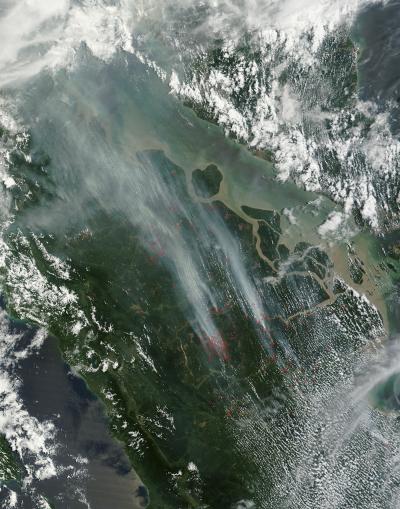 Illegal Fires Set in Indonesia Cause Smog Problem