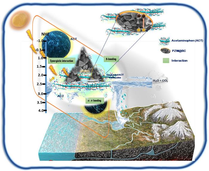 Porous biochar supported PET plastic waste MOF heterostructure as a novel, efficient and recyclable catalyst for acetaminophen degradation