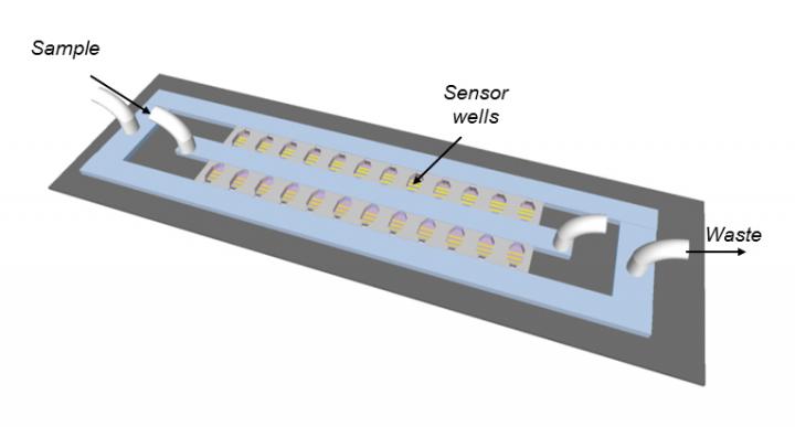 Chip Schematic
