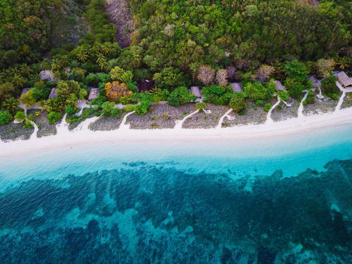 Forest and coastal line in Indonesia