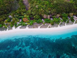 Forest and coastal line in Indonesia