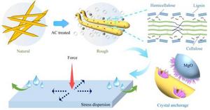 Light Component Modulation of Bamboo Scraps Enhances Interfacial Compatibility and Strength of Thermal Insulation Composites