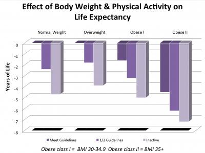 Effect of Body Weight & Physical Activity on Life Expectancy