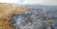 Fires on the Savanna
