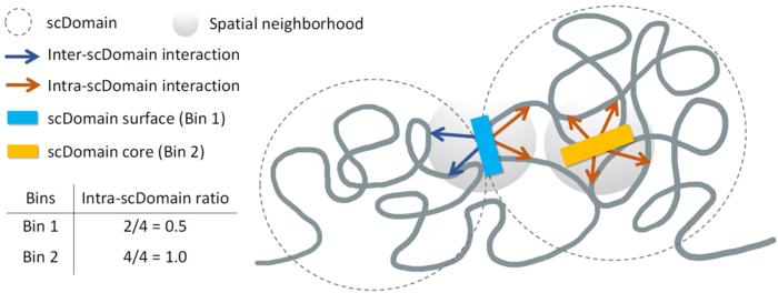Schematic figure