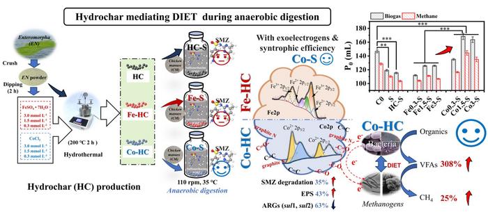 Fe/Co-modified Enteromorpha bio-hydrochar enhanced anaerobic digestion of chicken manure with sulfadimethazine: focusing on synergistic mechanism and microbial community succession