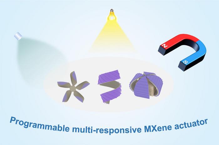 Programmable multi-response MXene actuator